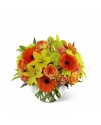 The FTD Vibrant Views Bouquet